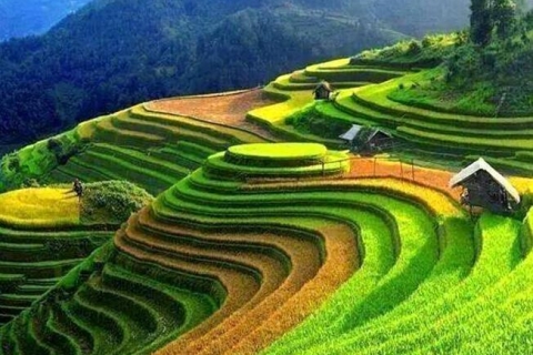 The Best Time to Visit Vietnam by Region