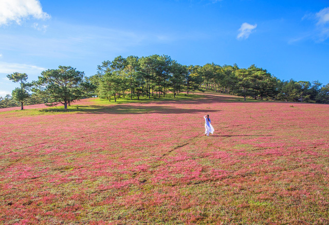 Tour Bình Định - Nha Trang - Đà Lạt ( 4 ngày 3 đêm ) - Hara Travel